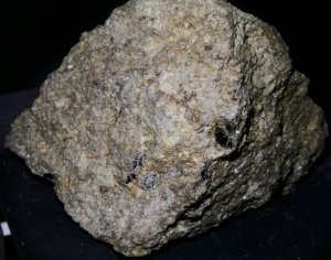 carbonatite du Kaisersthul: Ph. Thiran.