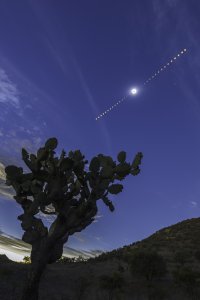 Chapelet cactus Eclipse 2024 Mexique Jeanne Boutemy